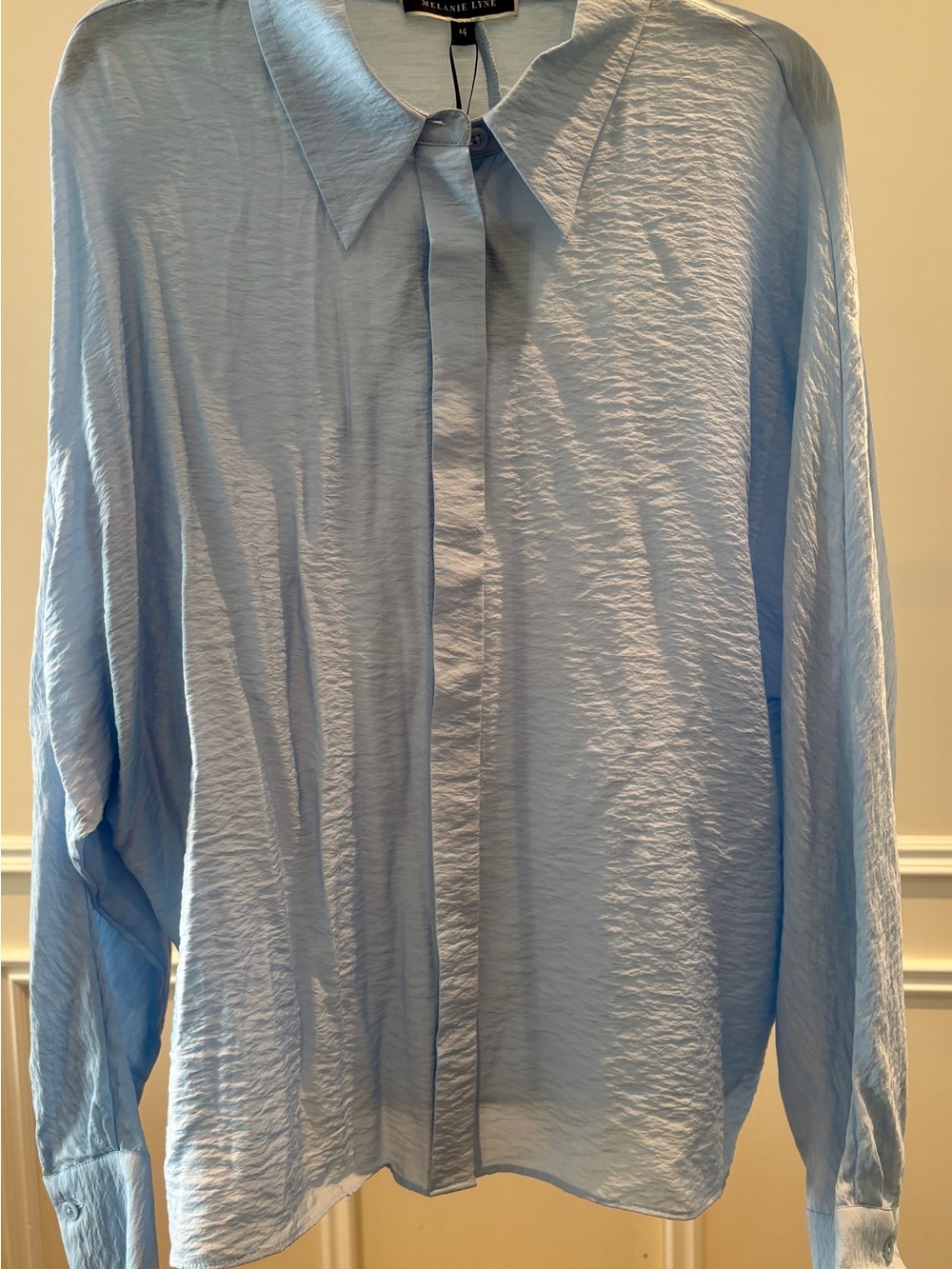 Light Blue Crinkled Texture Long-Sleeve Button-Down Blouse